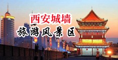 MB屌国特级黄片中国陕西-西安城墙旅游风景区
