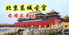美女色欲图片mm3001中国北京-东城古宫旅游风景区
